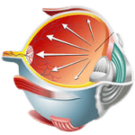 Eye Health Spotlight Tackling Glaucoma with Modern Care